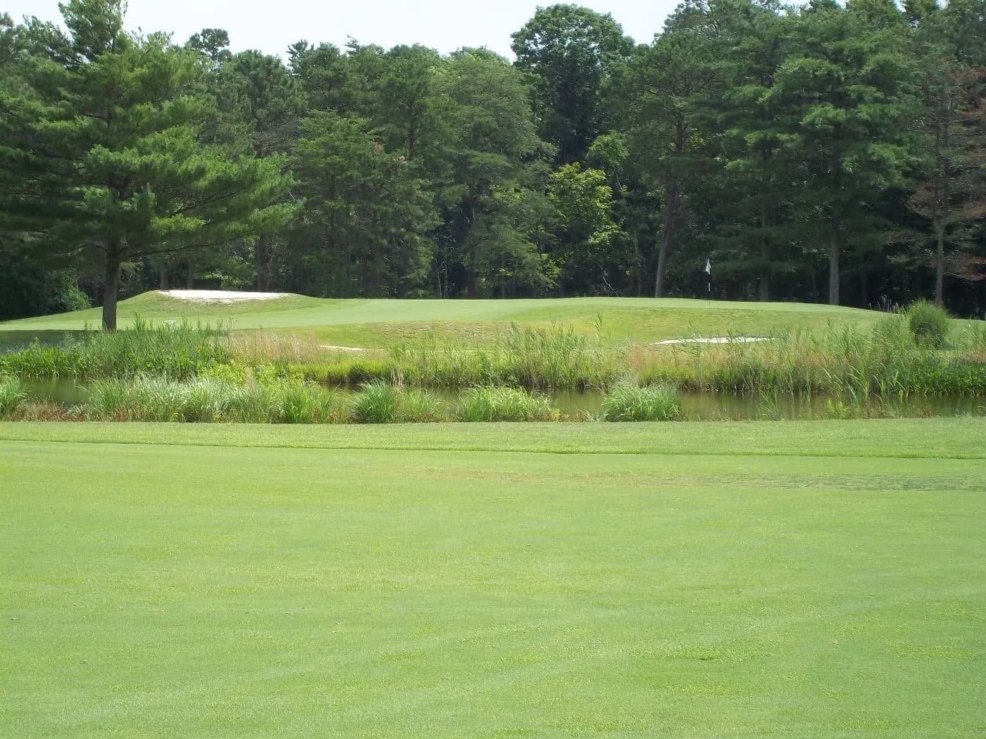 Pines at Clermont Golf Club