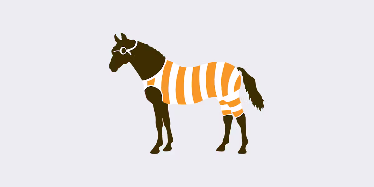The Diving Horse